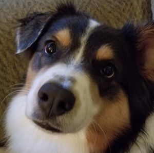 Meet your Posher, Charlotte